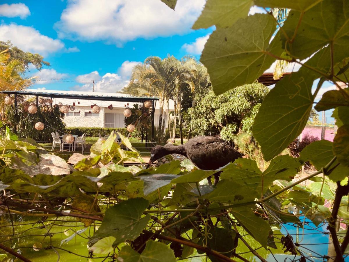 Villa Cristal Santa Elena  Luaran gambar